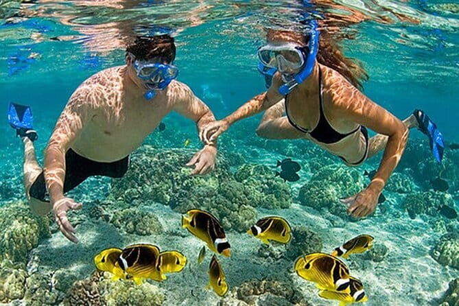Phu Quoc Food Tour - Led by Women - FAQ