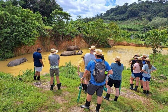 Phuket City Tour & Elephant Sanctuary: Sights, Tastes, Culture - Analyzing the Price and Value