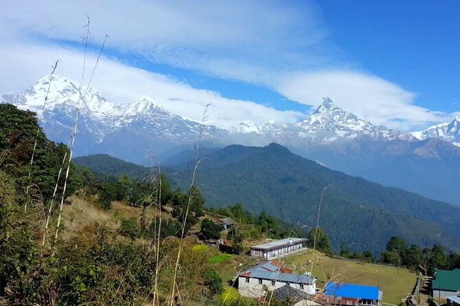 Pokhara: Dhampus Easy Trek for Families with YoungKids 2 Day Tour - Who Is This Tour Best For?
