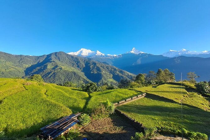 Pokhara: Easy Day Hike to Australian Camp & Dhampus Village - FAQ