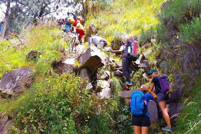 Popular Rinjani Trekking Tour Service To Summit For 2 Days Via Sembalun Trail - The Sum Up