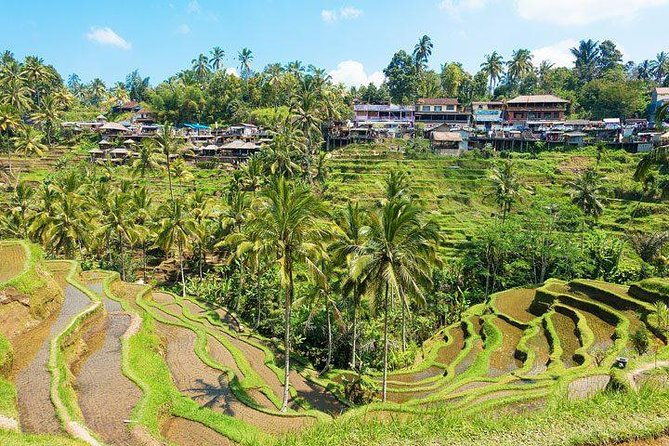 Private Car Charter - Explore Best of Bali - FAQ
