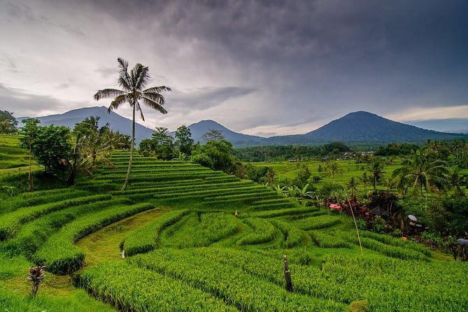 Private Chartered Car to Bali Temples With Besakih Temple - Who Would Love This Tour?