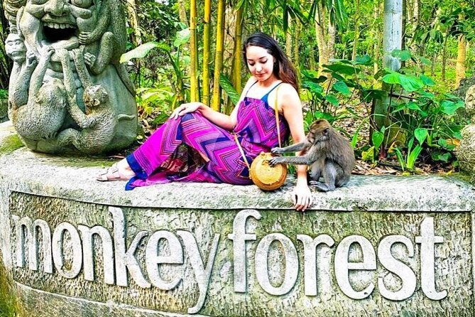 Private Day Tour in Ubud and Tanah Lot Temple - Whats Included & What to Consider