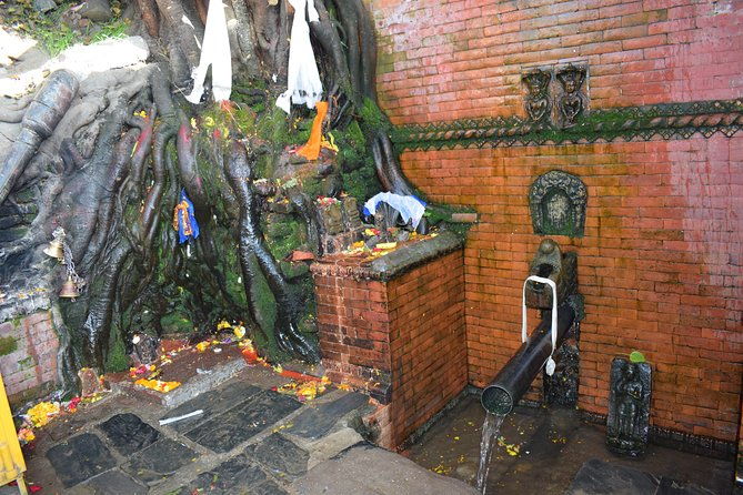 Private Half Day Budhanilkantha Tour - Summary
