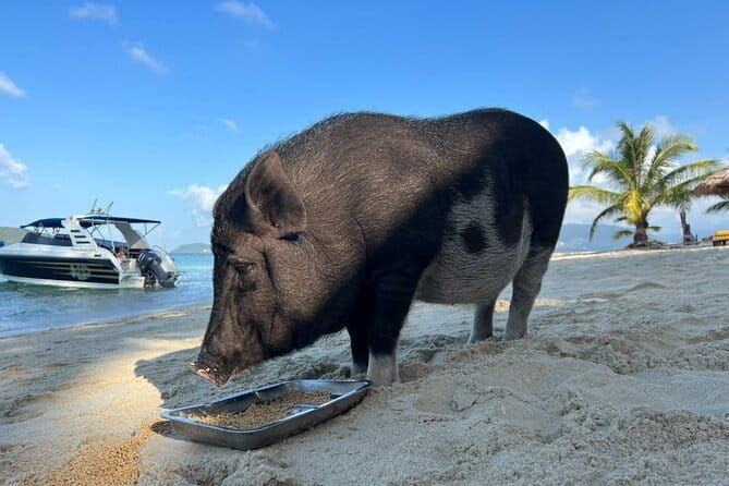 Private Longtail Boat Tour to Koh Madsum and Koh Tan with Lunch - Who Will Love This Tour?