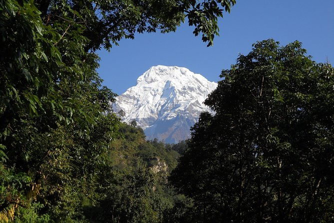 Private Multi Day Nepal Poon Hill Trekking Tour - FAQs