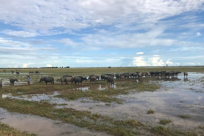Private Siem Reap Countryside Tour by Jeep with Local Food Experience - Who Will Love This Tour?