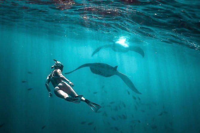 Private Sightseeing Northern East Bali All inclusive - The Sum Up