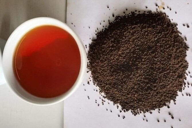 Private Tea Tour and Tea Factory - Overall value and who should consider this tour