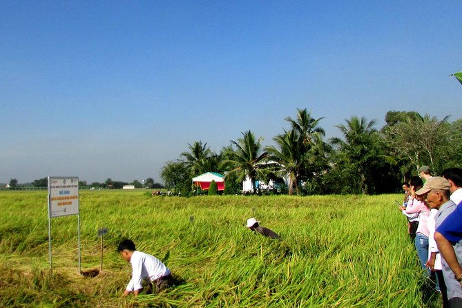 PRIVATE The Tunnels Of Cu Chi Half day tour - FAQ