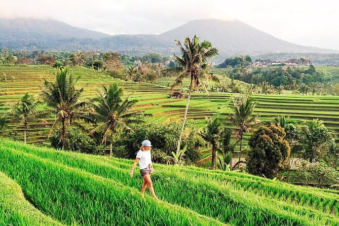 Private Tour: Bali UNESCO World Heritage Sites - Sunset at Tanah Lot Temple