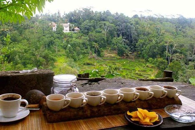 Private Tour: Jatiluwih Rice Terrace,Ulun danu and Banyu Mala Waterfall Tour - FAQs