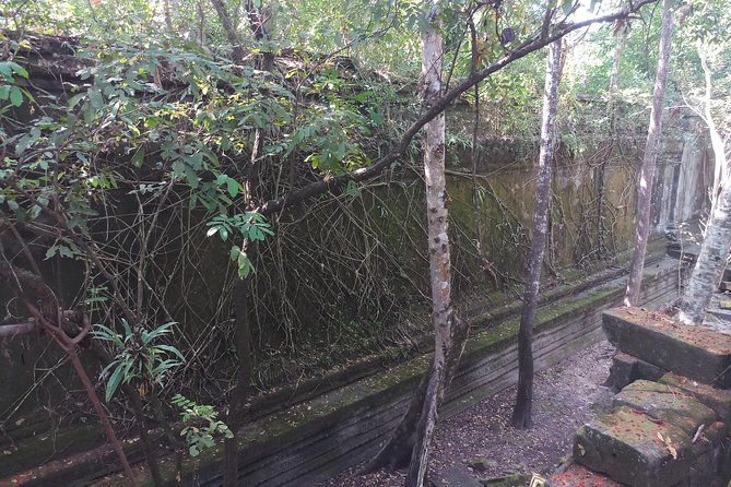 Private Tour to Beng Mealea Jungle Temple and Koh Ker - The Sum Up