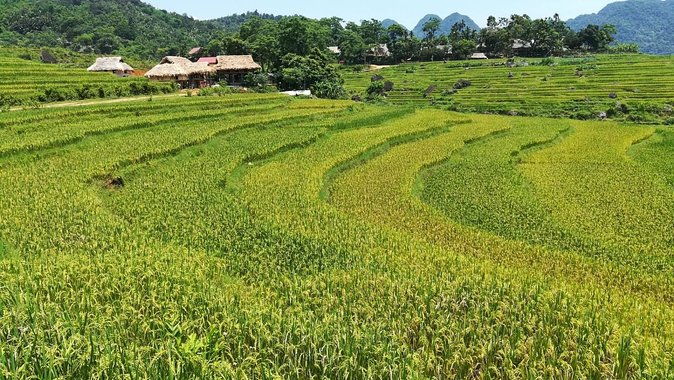 Private transfers From Hanoi to Puluong or From Puluong to Hanoi - The Sum Up