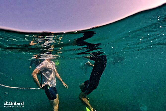 PRO-SNORKELING to Explore Hidden Coral Reefs (MAX 12 PAX) - FAQ