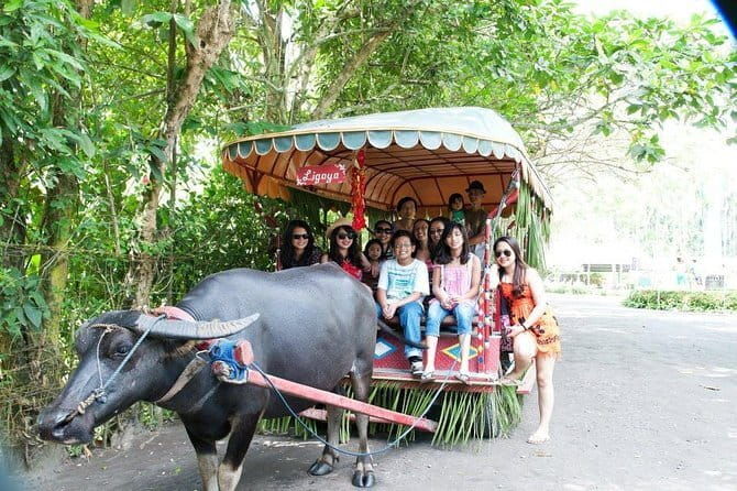 Sagada and Banaue Rice Terraces 4-Day Tour - Final Thoughts