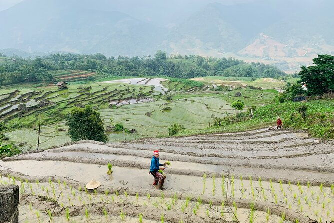 Sapa Motorbike Tour With Local Guide 1 Day - Waterfalls, Villages - FAQ