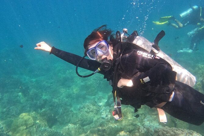 Scuba Diving Experience in Nha Trang Bay - The Sum Up