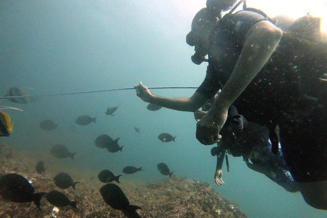 Scuba Diving in Mirissa - The Sum Up: Why You Should Consider This Mirissa Tour