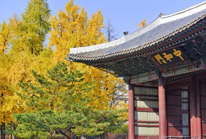 Seoul: Deoksugung Palace Night Tour - Value, Comfort, and Practical Considerations