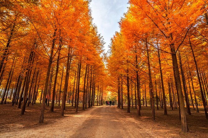 Seoul Vicinity 5 in 1: Nami Island, Garden of Morning Calm & More - FAQ