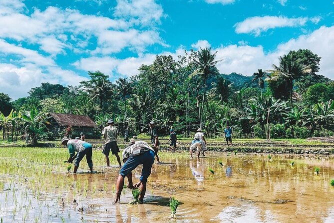 Sidemen Trekking: A Walk from Different Perspective - Final Thoughts