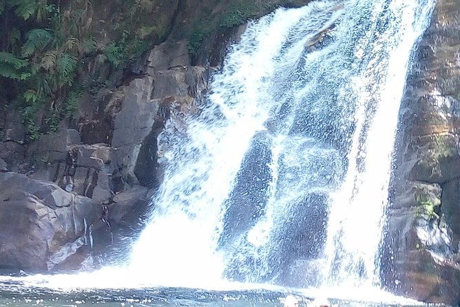 Sinharaja Rainforest Tour - FAQ