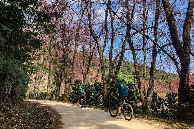 Smoke on the Water Trail Mountain Biking Tour Chiang Mai - Final Thoughts: Who Is This Tour For?