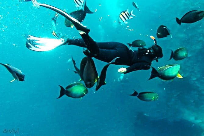 Snorkeling Day Trip to Nusa Lembongan and Nusa Penida - The Sum Up