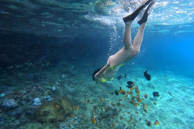 Snorkeling In Nusa Penida Departing From Bali Island - Final Thoughts
