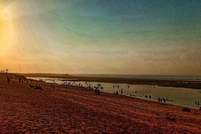 South Half Day Beach Tours - The Sum Up