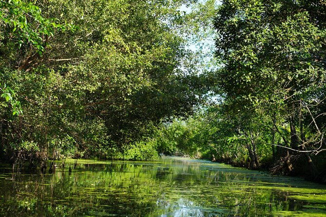 Southern Forest Tour  Explore Hau Giang Nature - Frequently Asked Questions