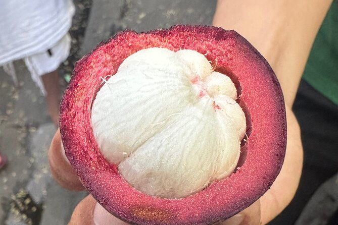 Vegan Food Tour - Untold Stories of Hoi An - Final Thoughts