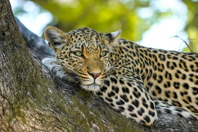 Wasgamuwa National Park Safari - FAQs