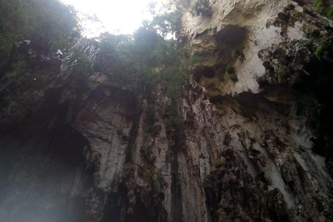 Wonders of Kuala Lumpur City & Countryside + Batu Caves (Private Guided Tour) - FAQ