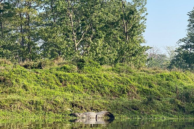 1 Night 2 Days Chitwan Jungle Safari Tour - FAQ