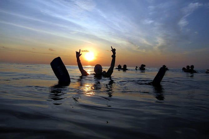 3 Fun dives in Phi Phi islands for Certified Divers - What Reviewers Love Most