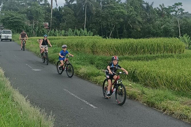 Bali Downhill Natural Cycling Tour & visit Volcano - FAQ