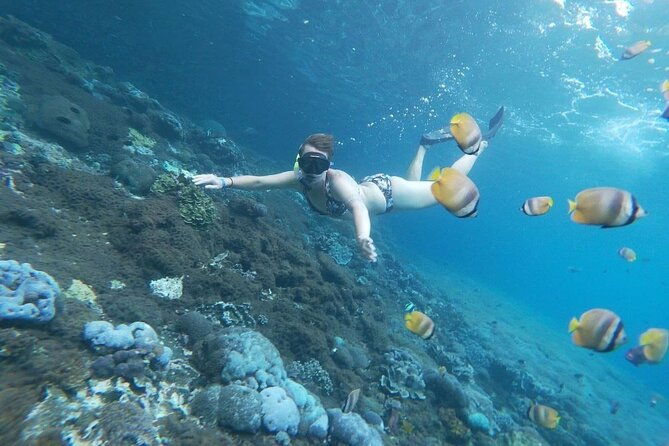Bali Private Snorkeling (Manta, Gamat, Wall) and Nusa Penida Tour - Final Thoughts