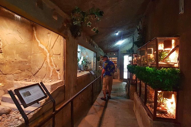 Bali Reptile Park Entrance Ticket - Who is This Tour Best For?