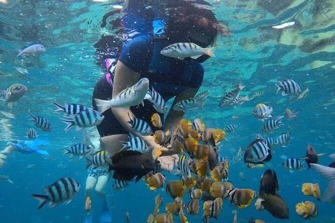 Blue Lagoon Snorkeling and Lunch - Kanto Lampo - Suwat Waterfall - All inclusive - In The Sum Up