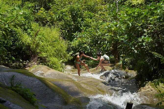 Chiang Mai:Sticky Waterfall Adventure and Bua Tong Huge Cave Tour - Final Thoughts
