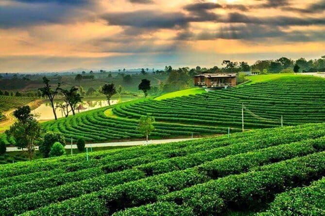 Chiang Rai Private Bespoke Sightseeing Tour - Final Thoughts