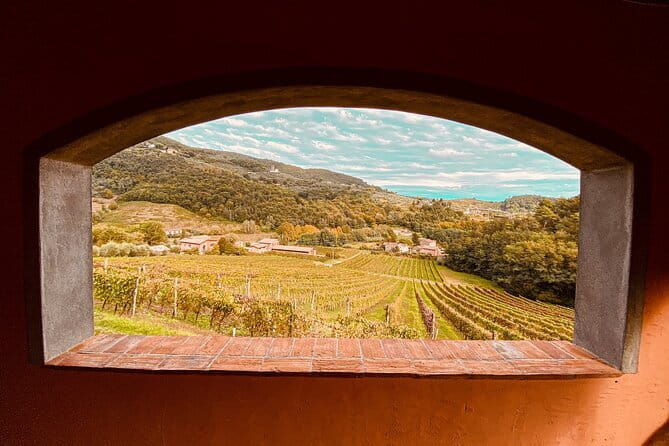 Chianti & Supertuscan Private Tour 2 Wineries with light lunch - FAQ