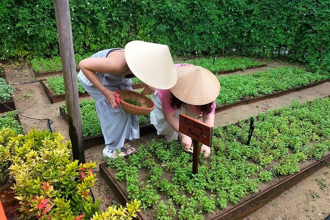 Cooking Class Hoi An - Organic Garden - Farming Tour - Who Will Love This Tour?