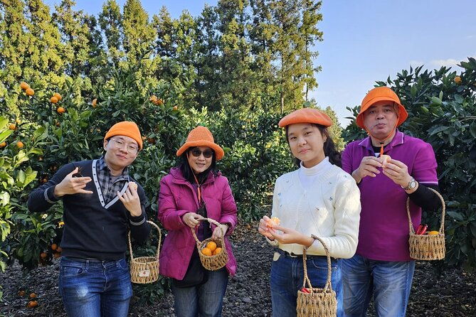 Customized private tour in Jeju island - Frequently Asked Questions