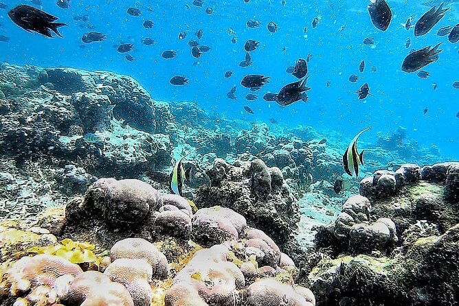 Day Trip Secret Island West Of Lombok - Final Thoughts