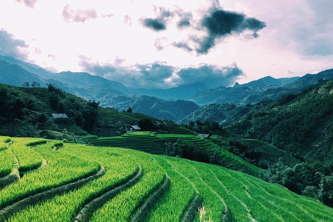 Discover the Beauty of Sa Pa: A One-Day Trek - Who Is This Tour Best Suited For?