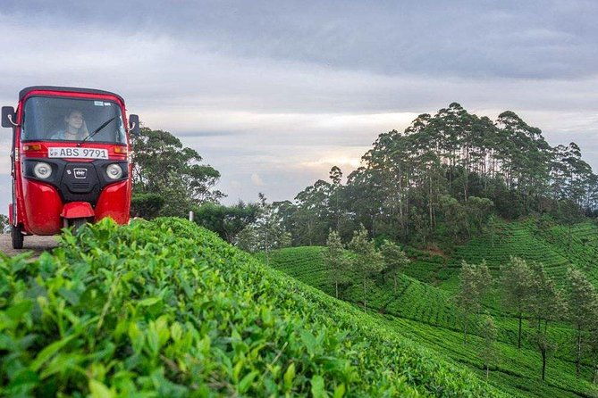 Ella Day Trip from Mirissa, Weligama, Galle, Hikkaduwa - Final Verdict
